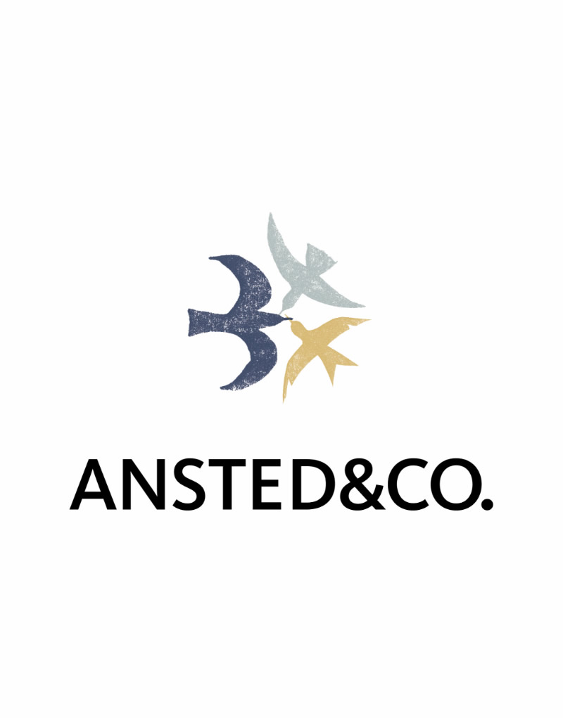 design co logo