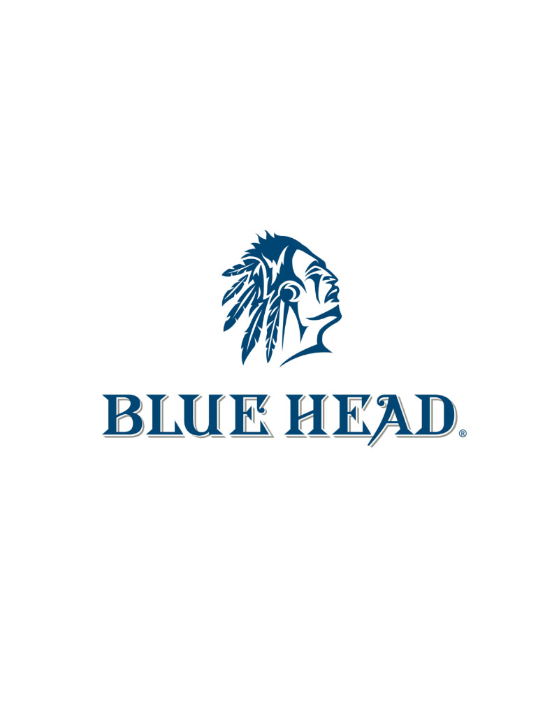 Blue Head Logo Design
