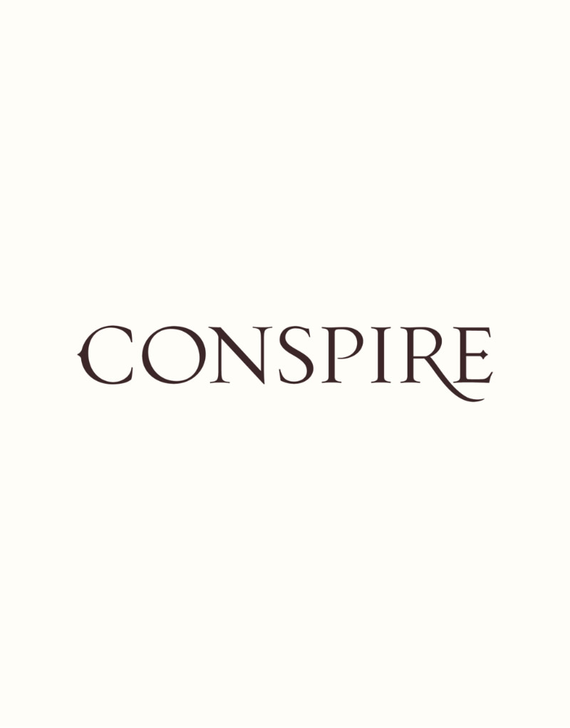 conspire conference 2013