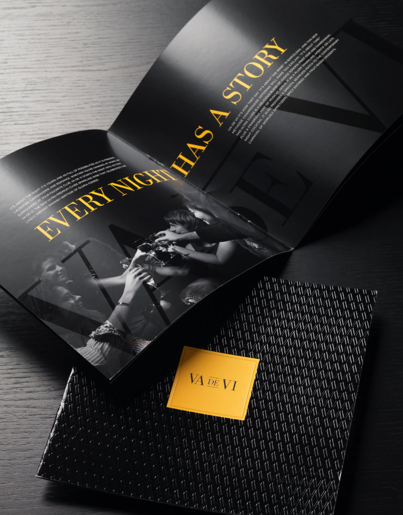 Va de Vi Launch Brochure Logo Design