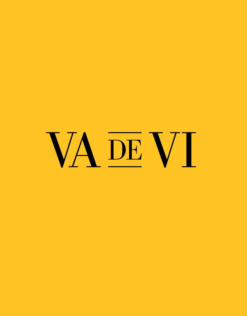 Va de Vi Logo Design