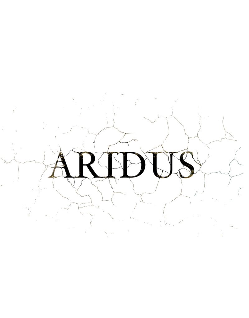 Aridus Logo Design