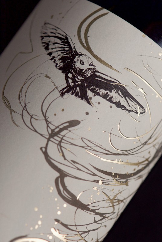 The Owl & The Dust Devil Illustration Detail