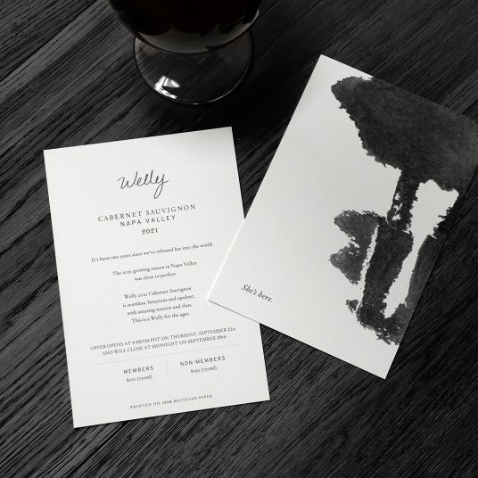 Lail Vineyards Welly Mailer Design Winemaker She's Here Illustration Detail